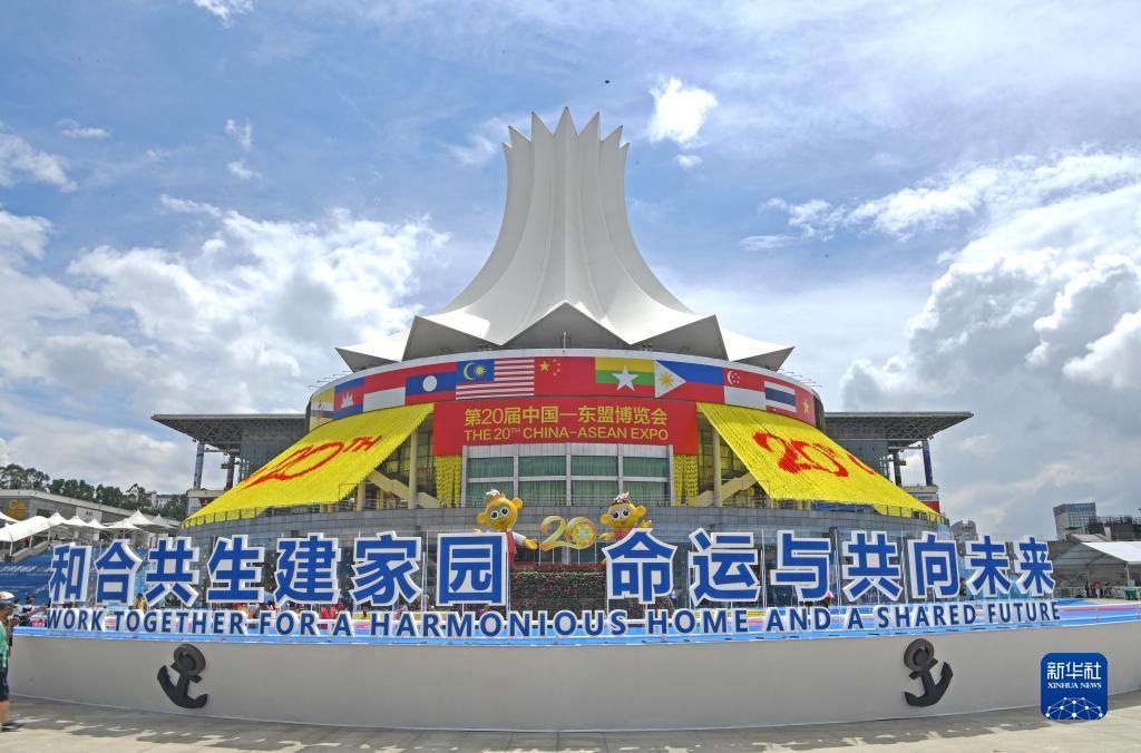 摇钱树网站ww25777